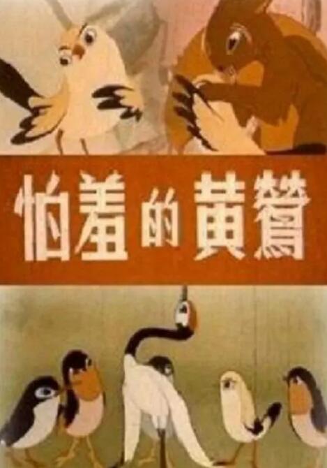 视频福利在线